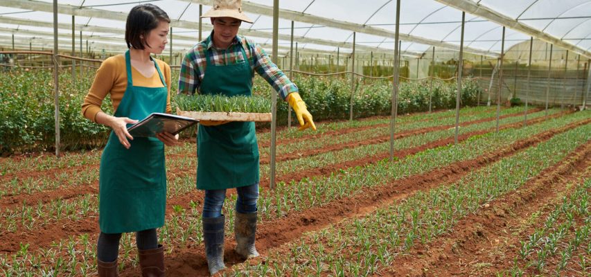 Cheerful workers planting various flowers in greenhouse